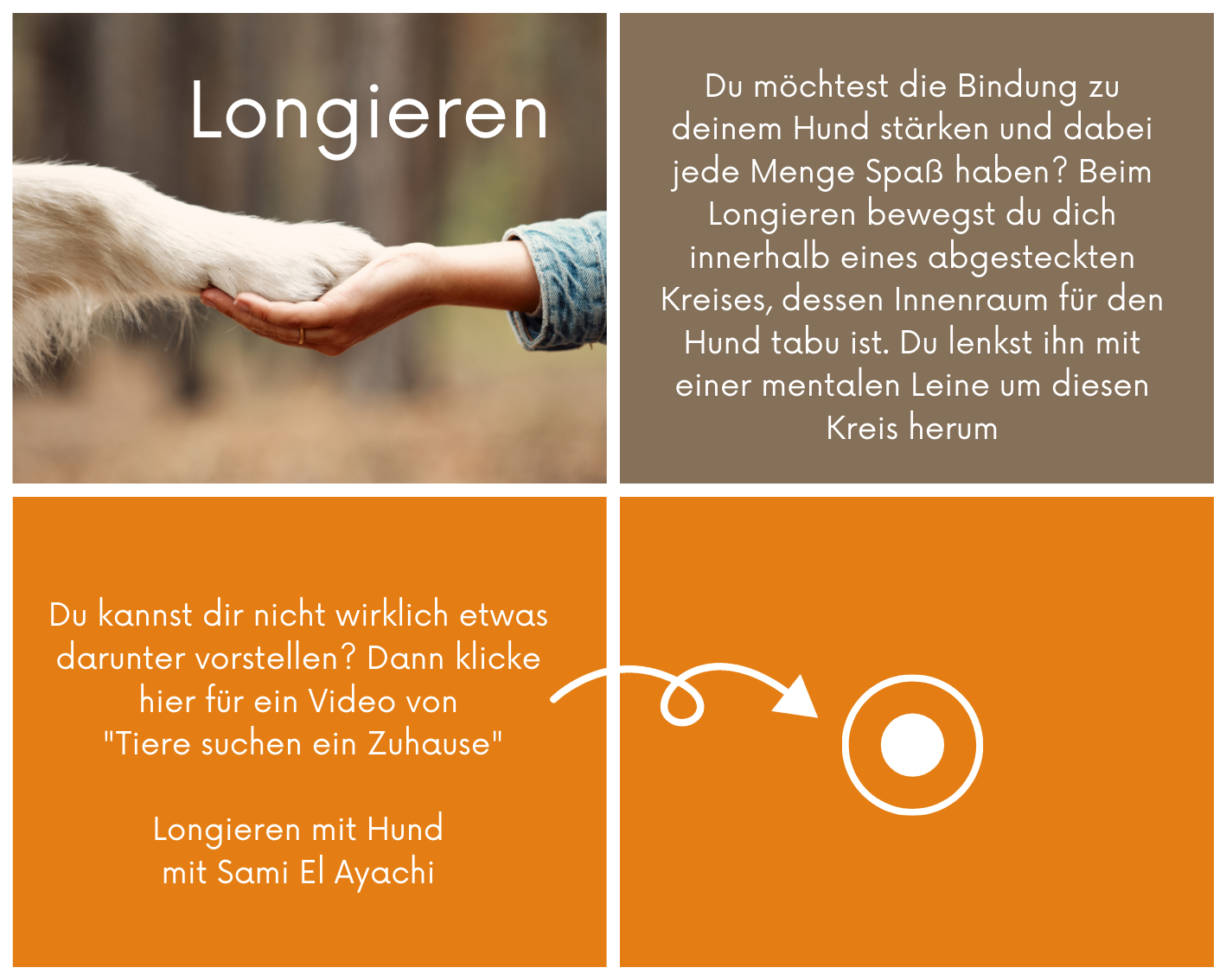 Longieren mit Hund